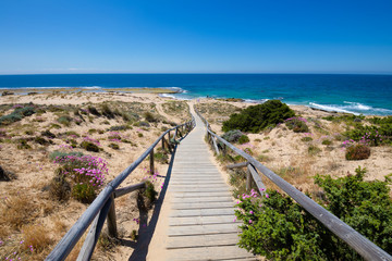 Fototapeta na wymiar wooden walkway down to the beach and ocean coast in Cape Trafalgar, near Canos Meca village (Barbate, Cadiz, Andalusia, Spain), blue sky