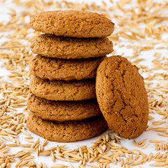 Oatmeal cookies among wheat  and oat grains on a white background