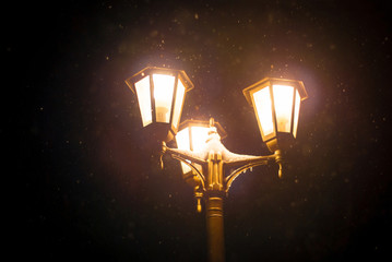 glowing vintage street lamp during a snowfall in the darkness