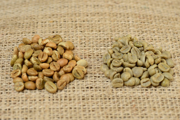green grains of arabica and robusta, comparison of grains. on burlap