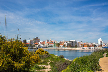 Fototapeta premium View of the city of Portimao from the opposite bank across the river through the flowering trees of mimosa in the winter. Portugal, Europe