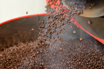 green grains of arabica and robusta, comparison of grains. on burlap