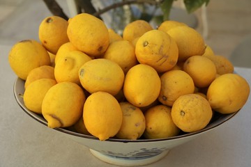 Fruit bowl with lemons, Italy