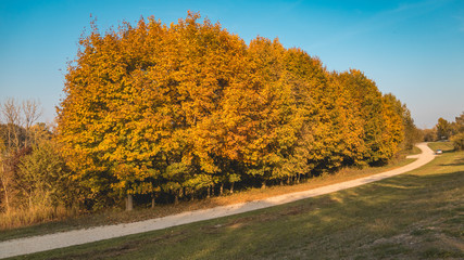 Obraz premium Beautiful autumn view at Zulling-Isar-Bavaria