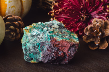 Arizona Chrysocolla Specimen in Autumn © Serena Tayyan