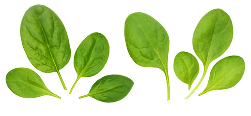 Corn salad leaves, isolated on a white background