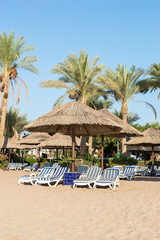 Beach chairs and umbrellas at sea beach.