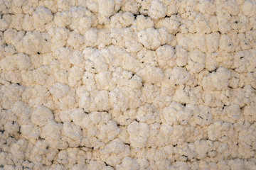 Muro de claveles en festividad
