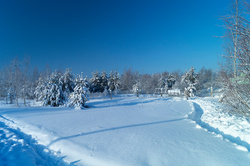 Winter landscape with frozen by wood