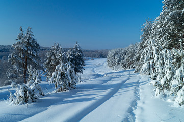 Winter landscape with frozen by wood