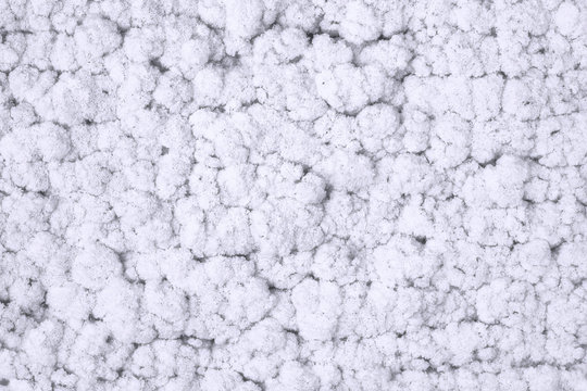 Muro de claveles en festividad