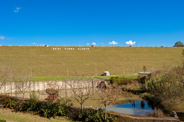 dam and oasis of the river alento-cilento-salerno