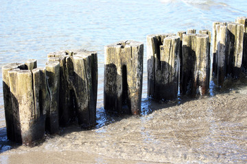 Ostseebad Zingst, Buhne