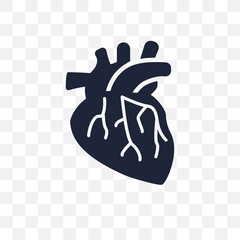 Human Artery transparent icon. Human Artery symbol design from Human Body Parts collection. Simple element vector illustration. Can be used in web and mobile.