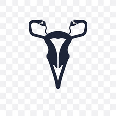 Uterus and Fallopian tube transparent icon. Uterus and Fallopian tube symbol design from Human Body Parts collection. Simple element vector illustration. Can be used in web and mobile.