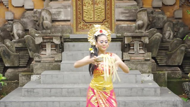 Attractive pendet dancer performing in a temple while holding a bowl of flower petals. Pendet is a traditional dance from Bali, Indonesia. Shot in 4k resolution