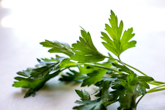 Close up of parsley against white background