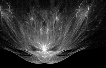 White fractal lines on black background. Fantasy fractal texture. Digital art. 3D rendering. Computer generated image.