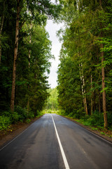 Fototapeta na wymiar Photo of road from asphalt in forest