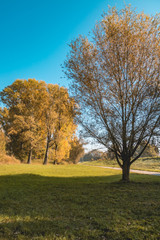 Beautiful autumn view at Plattling-Isar-Bavaria-Germany