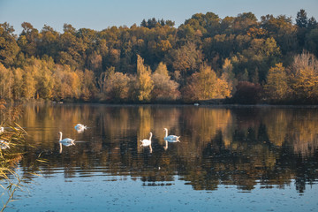 Beautiful autumn view near Zeholfing-Isar-Bavaria-Germany