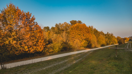 Beautiful autumn view near Zeholfing-Isar-Bavaria-Germany