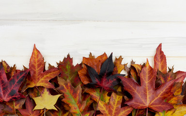 Obraz premium AUTUMN BACKGROUND. FRAME OF COLORFUL FALL LEAVES ON WHITE WOODEN DESK.