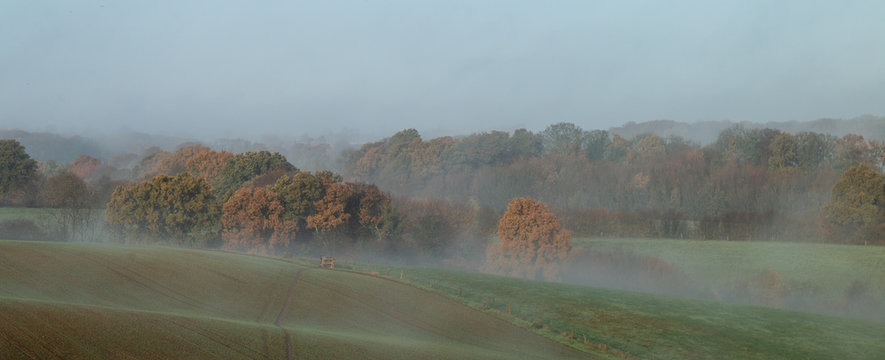 A misty Autumn morning in the Chilterns