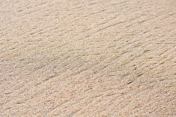 Flow Line Textured Natural Beach Sand Copy Space