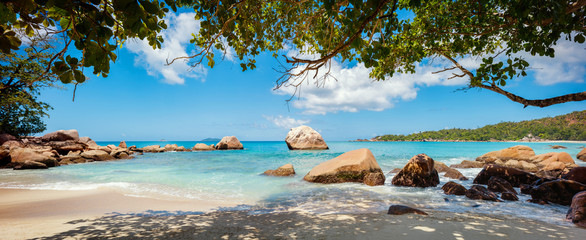 Palm and tropical beach panorama. Anse Lazio beach at Praslin island, Seychelles