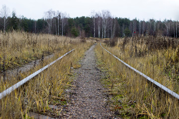 rails stretching into the distance