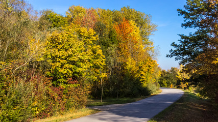 Indian summer at the Isar near Zulling - Bavaria - Germany