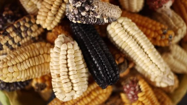 a slider shot of corn in peru