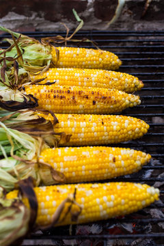Close up of corn cobs on barbecue grill