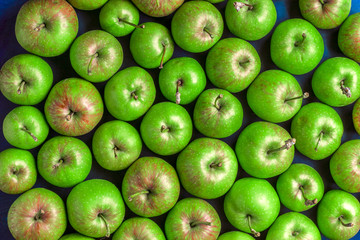 Green fresh organic apples overhead large colorful arrangement  in studio