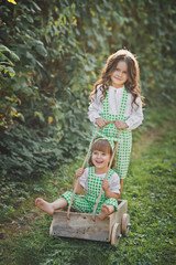 The elder sister carries the younger sister on the cart 1884.