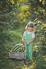 A little girl carries a huge watermelon on a cart 1887.