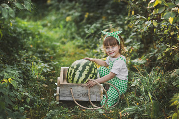 Portrait of a child with a huge watermelon in the cart 1891.