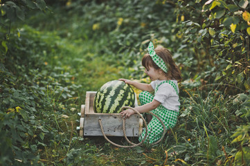 Portrait of a child with a huge watermelon in the cart 1893.