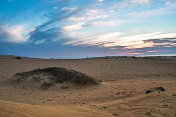 Fototapeta na wymiar Sand dunes sunset, Guadalupe Dunes National Wildlife Refuge, California
