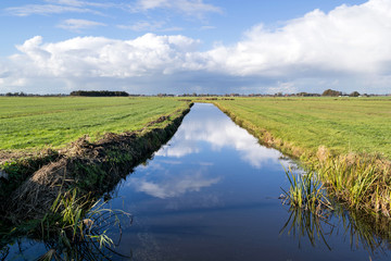 Dutch polder landscape in the province of Friesland