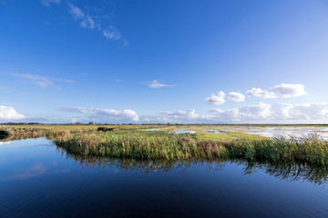 Dutch polder landscape in the province of Friesland