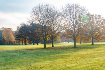 Fototapeta premium Autumn Colour Display