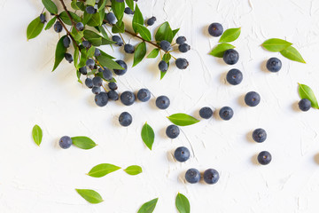 Blueberries isolated on white background, texture with copy space. Blueberries are antioxidant organic superfood
