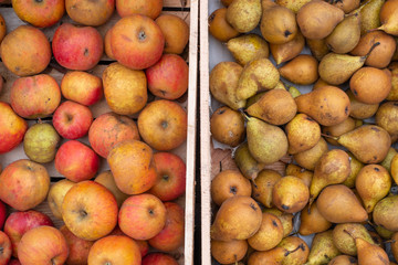 Naklejka na ściany i meble apple pear crate background market