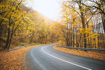 Obraz premium Krzywa drogowa w lesie jesienią