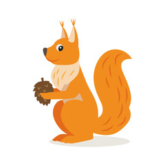 Icon of funny cute orange squirrel with cone isolated, forest, woodland animal, vector illustration for children book or decoration