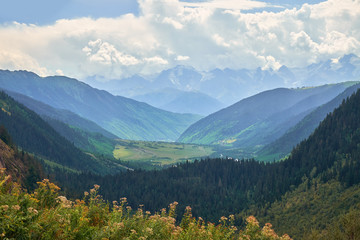 Green valley in georgian Svaneti mountains under the clouds
