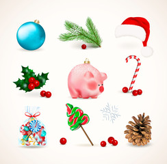 Winter holiday decor. Set of Christmas Bauble, cute pig a chinese new year symbol, pine branch and cone, mistletoe or holly with red berries, candies lollipop and cane. Realistic vector illustration