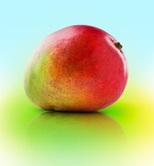 Mango fresh colorful fruit on reflex multicolor background with copy space in studio
